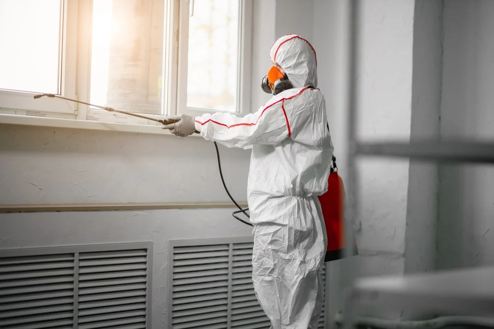 Professional mold remediation services in Tahlequah, OK